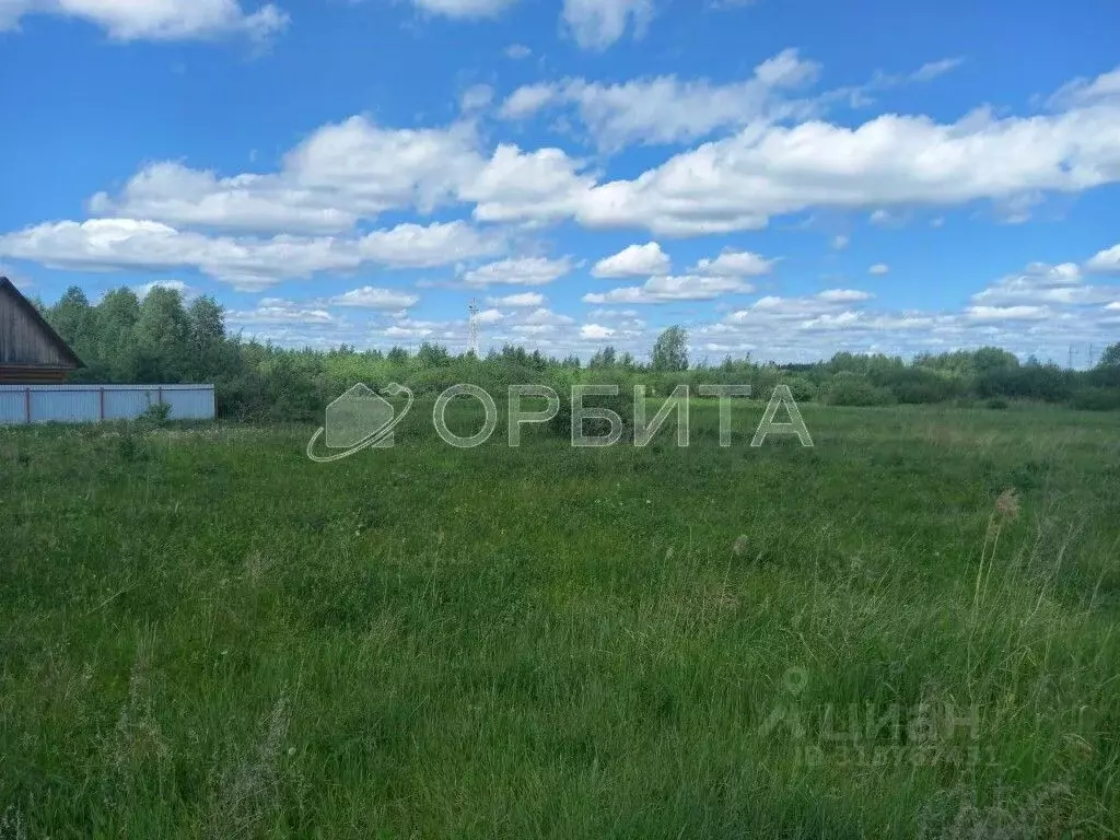 Участок в Тюменская область, Тюменский район, с. Борки ул. ... - Фото 0