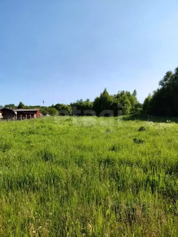Участок в Псковская область, Псковский район, Ядровская волость, д. ... - Фото 1