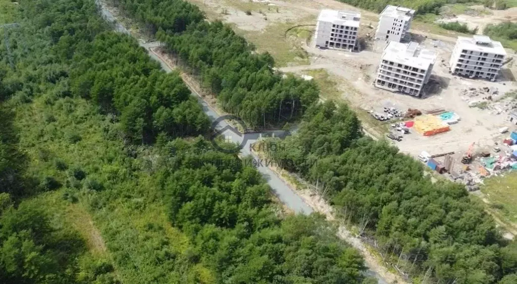 Участок в Сахалинская область, Анивский городской округ, с. Мицулевка ... - Фото 0