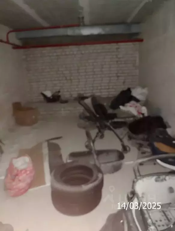 Помещение свободного назначения в Нижегородская область, Нижний ... - Фото 1