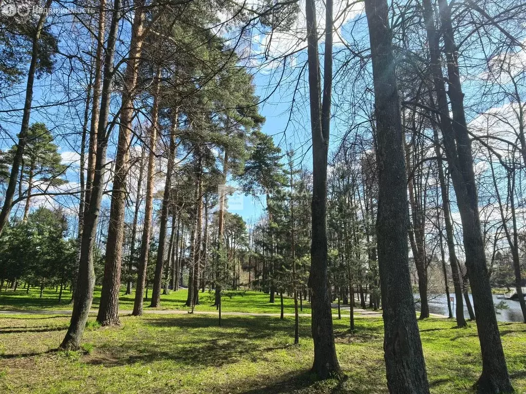 Участок в Ленинский городской округ, Видное (4.12 м) - Фото 2