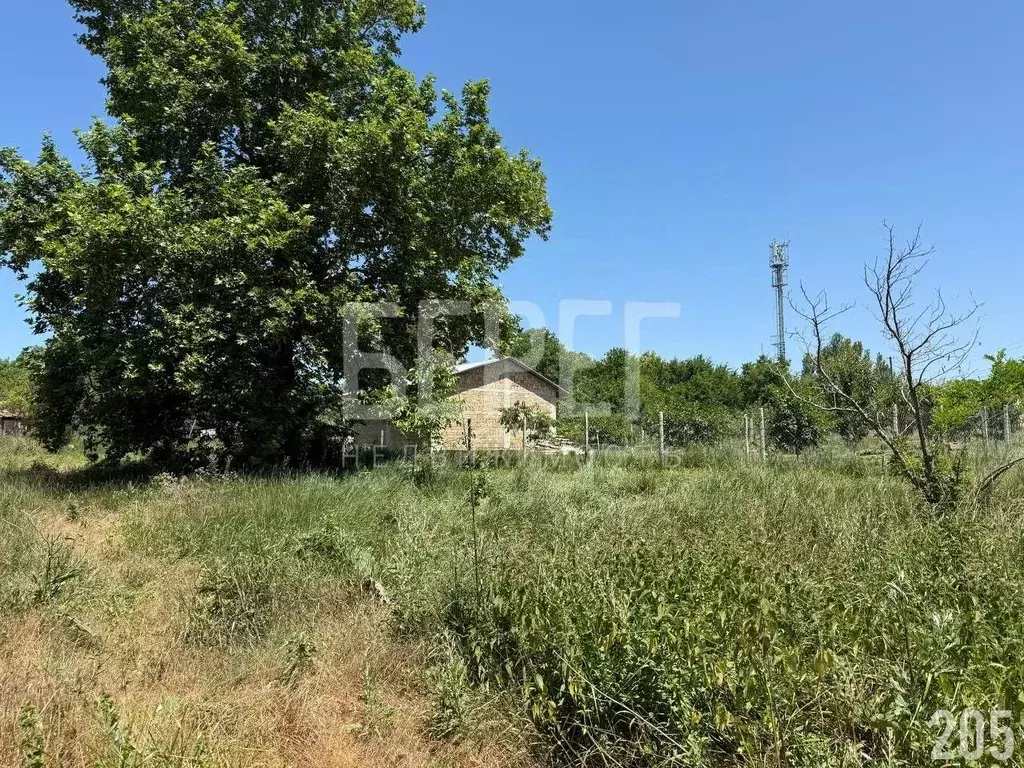 Участок в Севастополь с. Полюшко, ул. Персиковая, 2/2 (10.0 сот.) - Фото 1