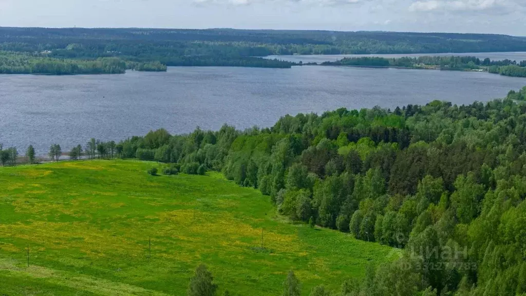 Участок в Ленинградская область, Выборгский район, Полянское с/пос, ... - Фото 1