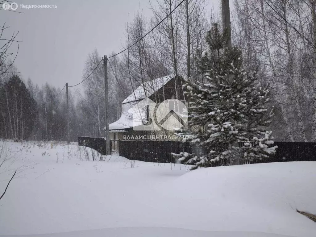 Участок в Новосибирск, Октябрьский район (6 м) - Фото 0