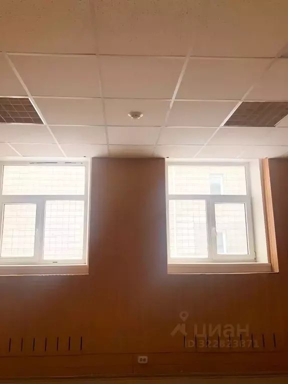 Офис в Новосибирская область, Новосибирск ул. Карла Либкнехта, 125 (25 ... - Фото 1