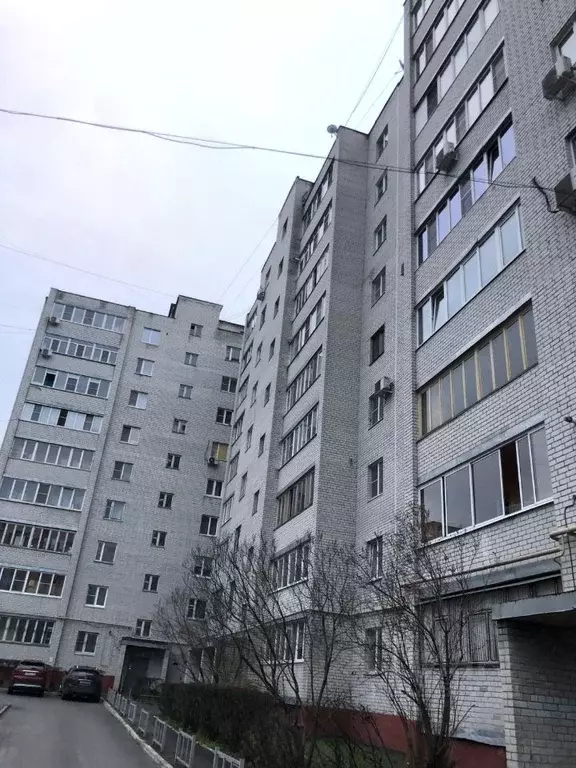 2-к кв. Курская область, Курск Хуторская ул., 12Г (52.7 м) - Фото 2