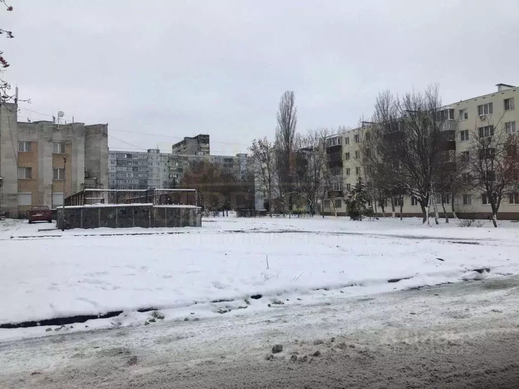 Помещение свободного назначения в Белгородская область, Старый Оскол ... - Фото 1