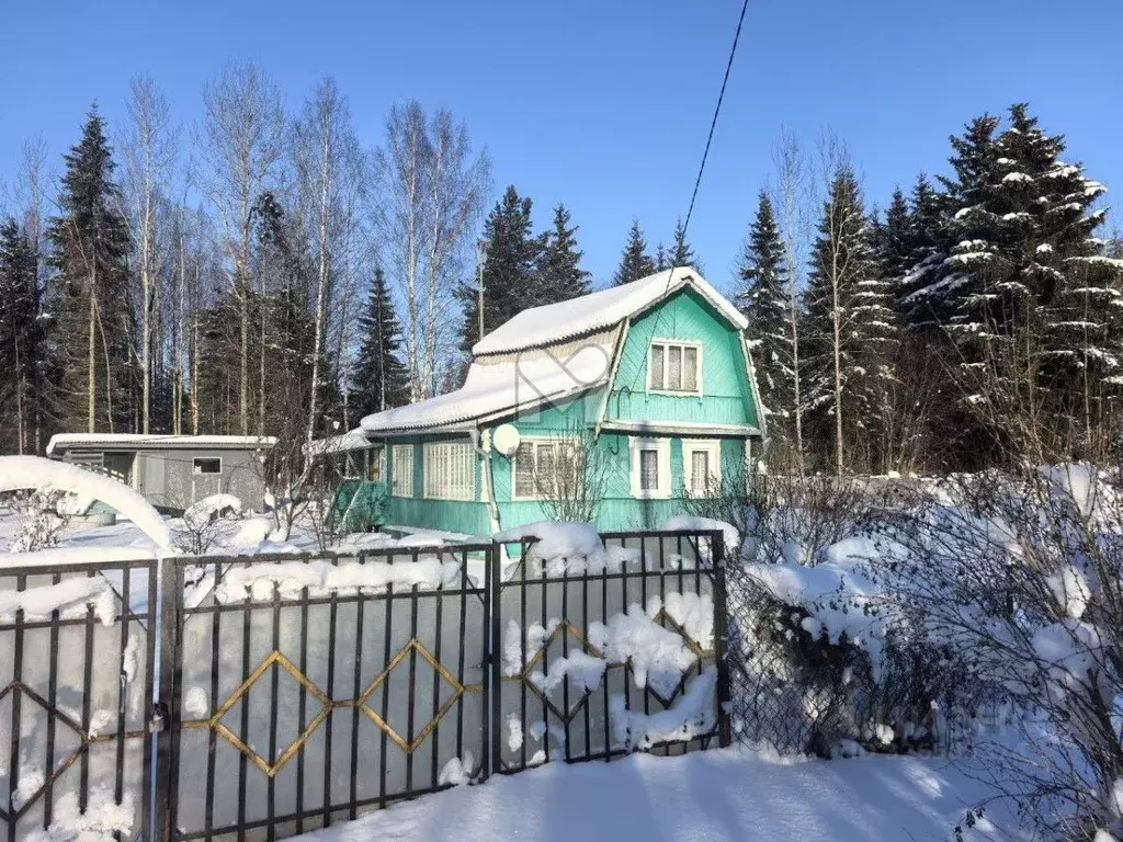 Дом в Ленинградская область, Лужский район, Мшинское с/пос, Мшинская ... - Фото 2