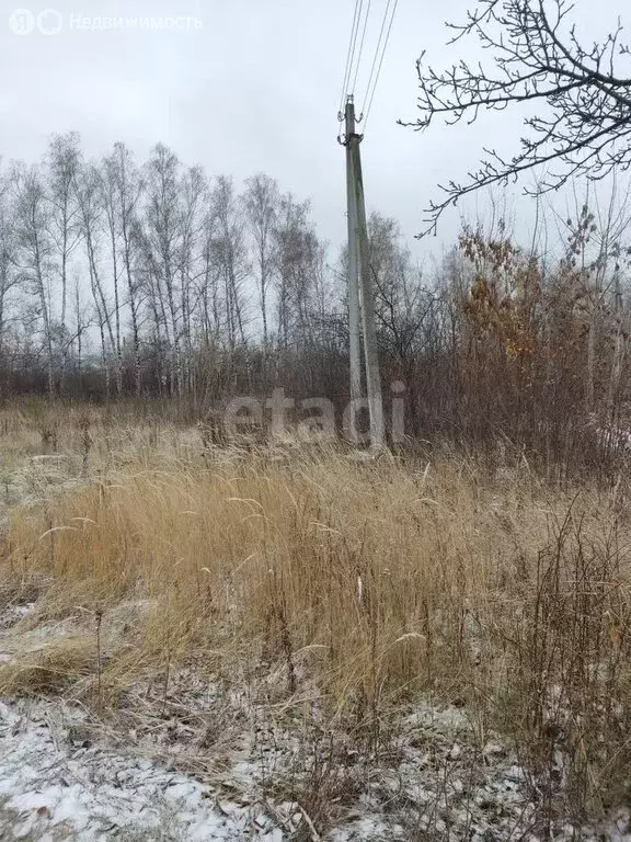Участок в Пензенский район, Воскресеновский сельсовет, село Большая ... - Фото 1