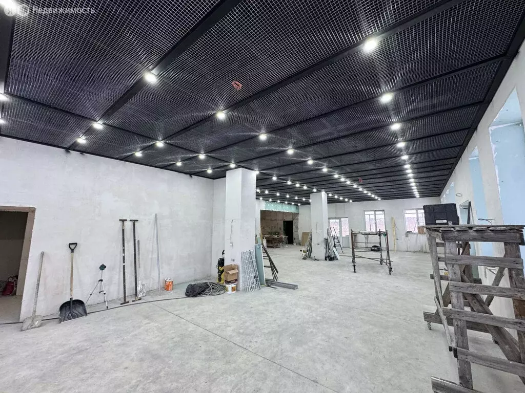 Помещение свободного назначения (452 м) - Фото 2