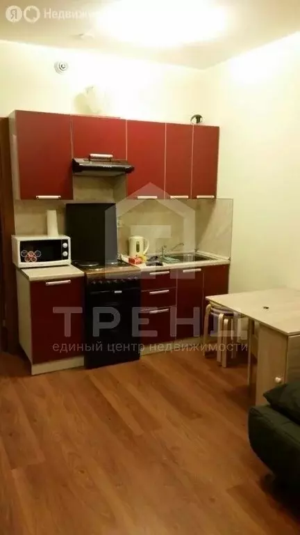 Квартира-студия: Мурино, Привокзальная площадь, 3к4 (26.5 м) - Фото 2