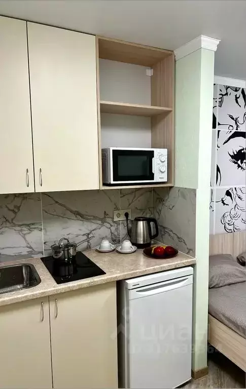 1-к кв. Санкт-Петербург Пушкинская ул., 12 (15.0 м) - Фото 1