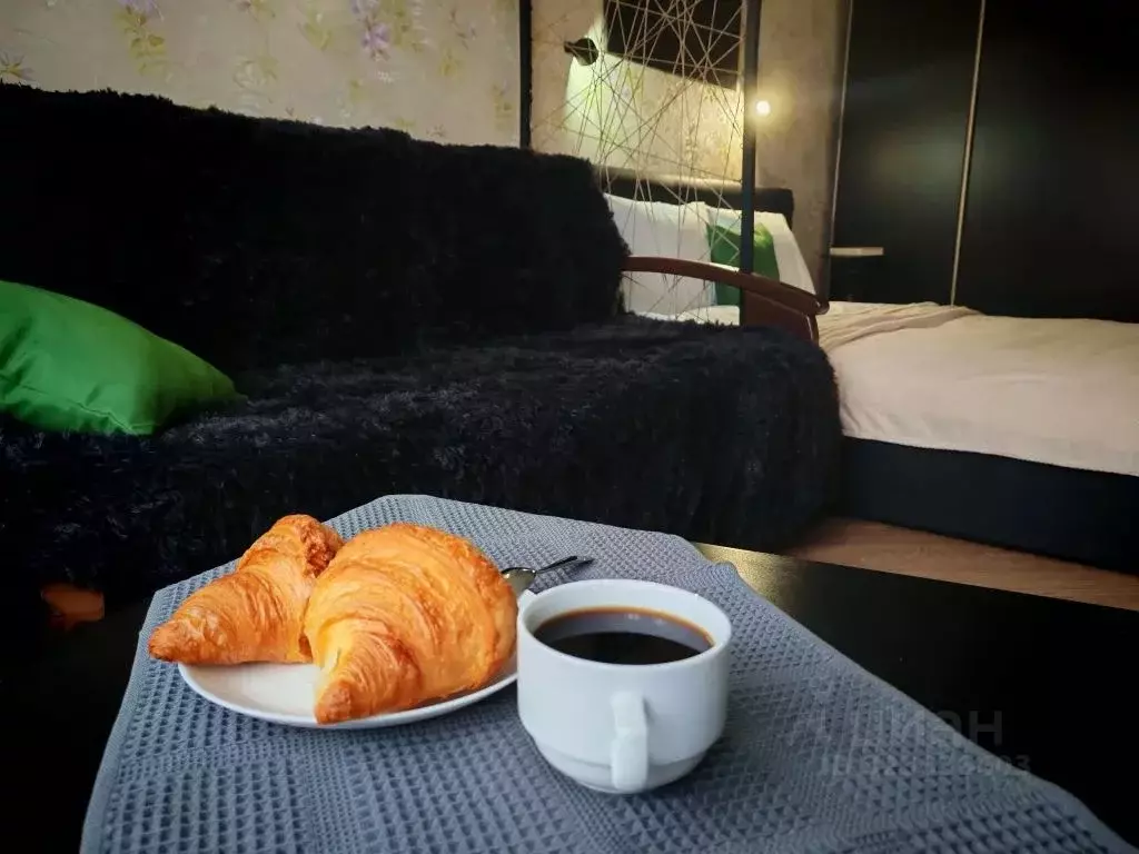 1-к кв. Московская область, Воскресенск Центральный мкр, ул. ... - Фото 1