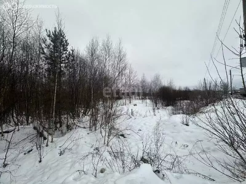 Участок в Нижегородская область, Володарский муниципальный округ, село ... - Фото 1