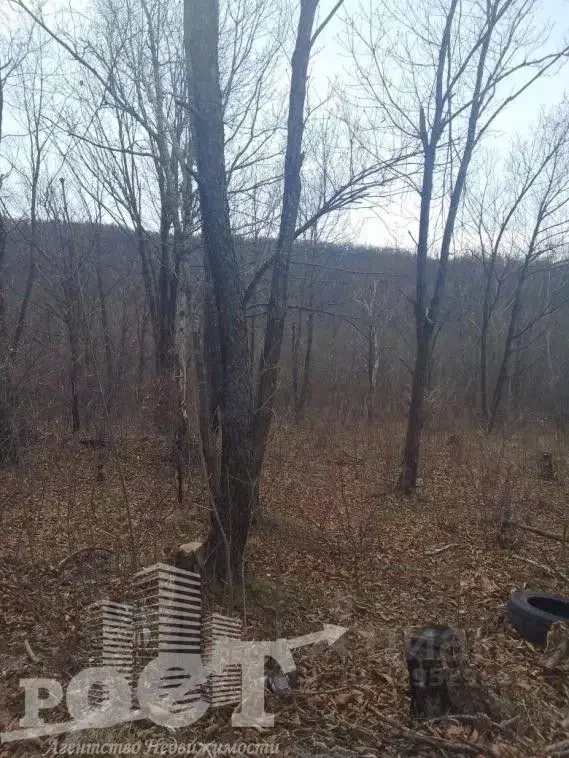 Участок в Приморский край, Артем ул. Фрунзе (10.0 сот.) - Фото 1