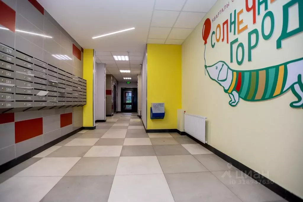 Студия Санкт-Петербург просп. Буденного, 19к1 (24.4 м) - Фото 1