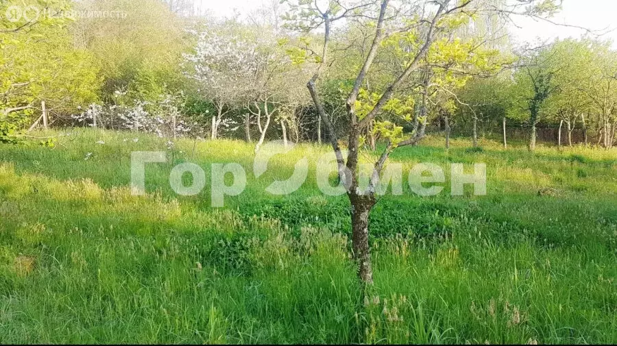 Участок в село Черешня, Пермская улица, 28 (20 м) - Фото 1