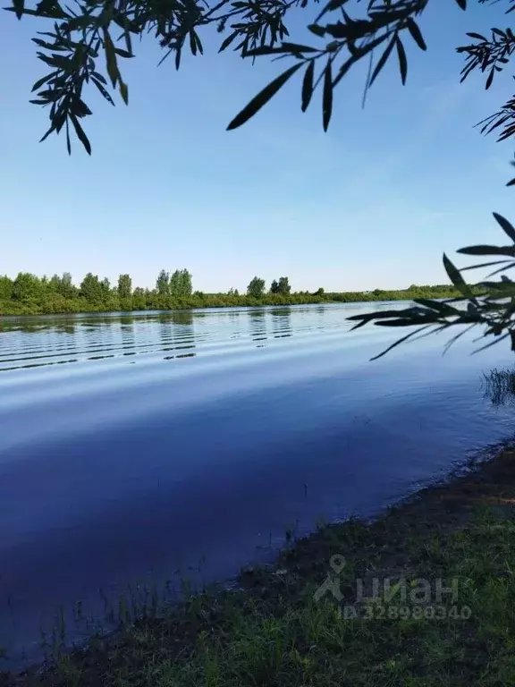 Дом в Новгородская область, Новгородский район, Савинское с/пос, д. ... - Фото 1
