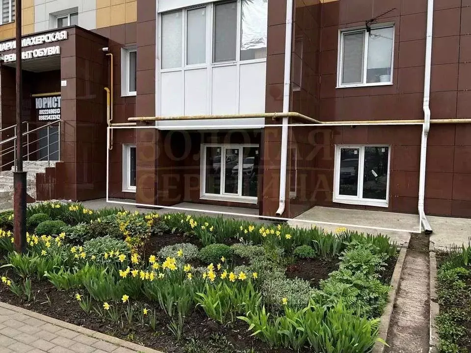 Помещение свободного назначения в Белгородская область, Белгородский ... - Фото 1