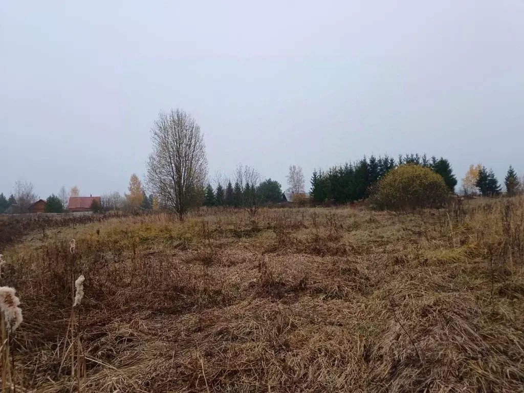 Участок в Московская область, Сергиево-Посадский городской округ, д. ... - Фото 0