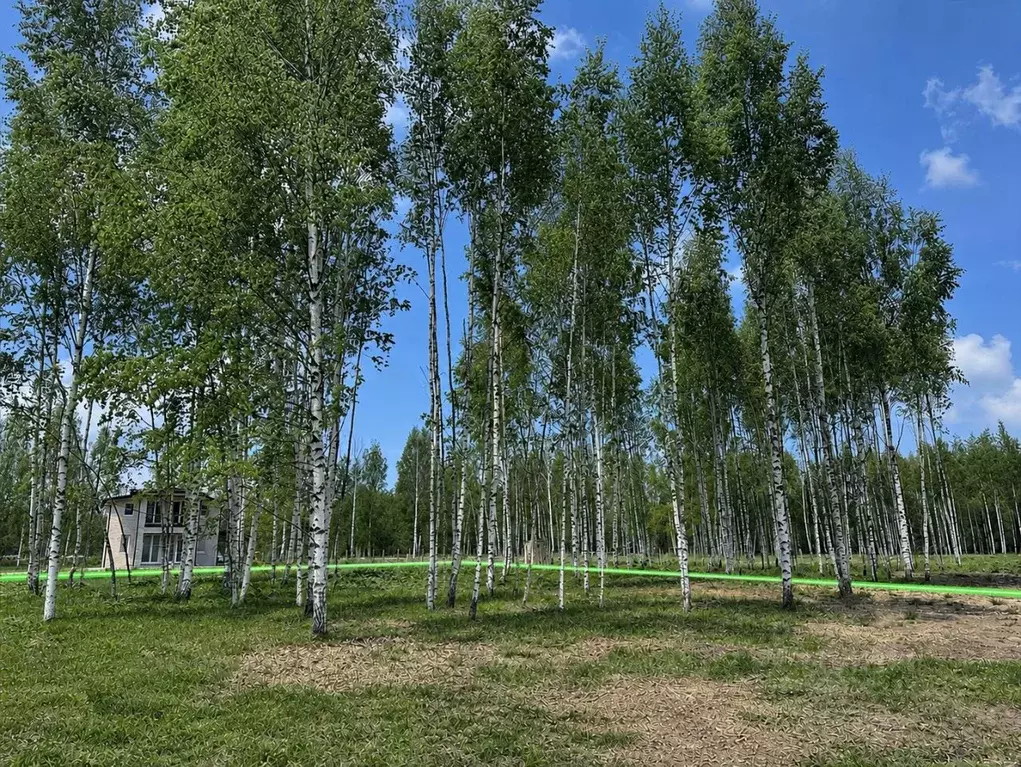 Участок в Ленинградская область, Тосненский район, Любанское городское ... - Фото 2