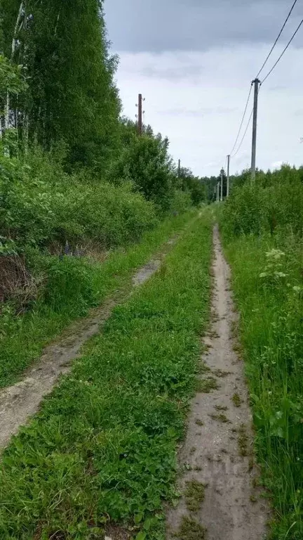 Участок в Нижегородская область, Дальнеконстантиновский муниципальный ... - Фото 1