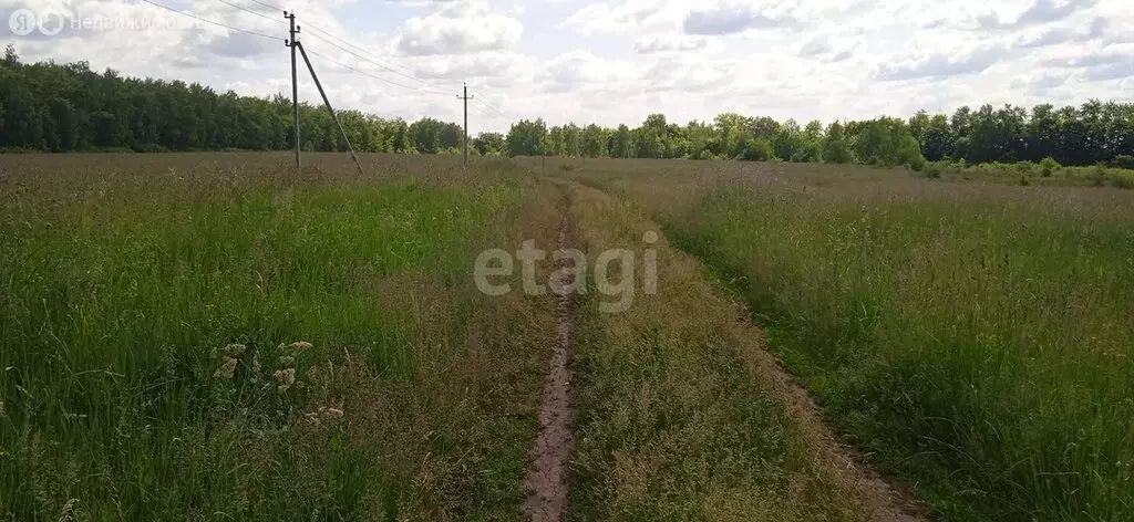 Участок в муниципальное образование Дедиловское, посёлок Красные ... - Фото 1