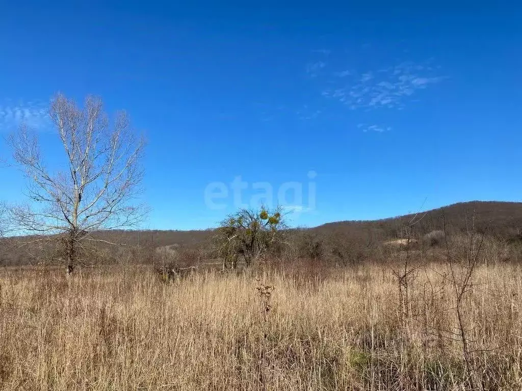 Участок в Адыгея, Майкопский район, пос. Тульский ул. Энергетиков ... - Фото 1