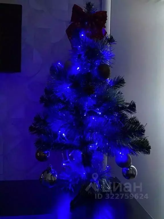 1-к кв. Ленинградская область, Выборг ул. Сторожевой Башни, 10 (16.0 ... - Фото 2