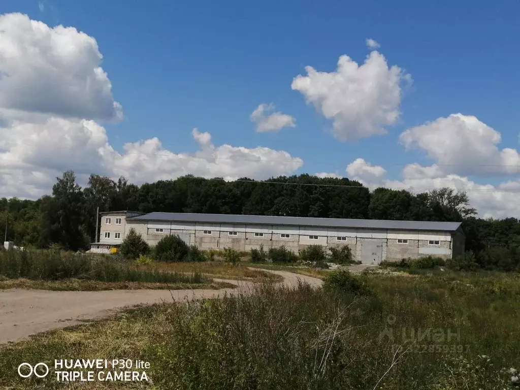 Склад в Мордовия, Ковылкинский район, Русско-Лашминское с/пос  (2081 ... - Фото 1