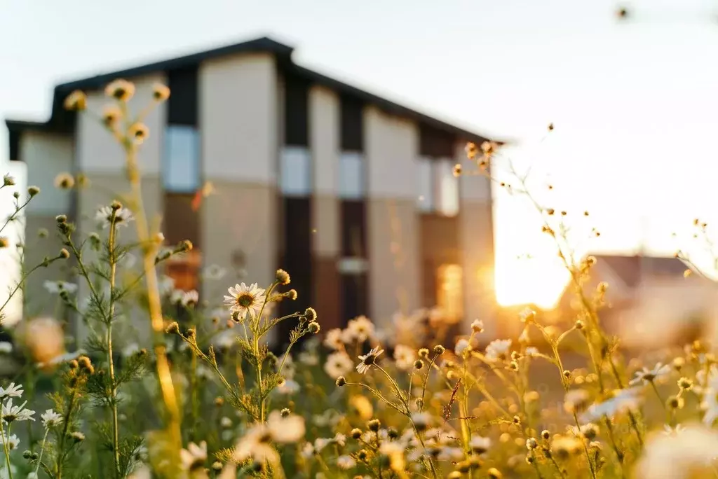 Участок в Ленинградская область, Всеволожский район, Колтушское ... - Фото 1