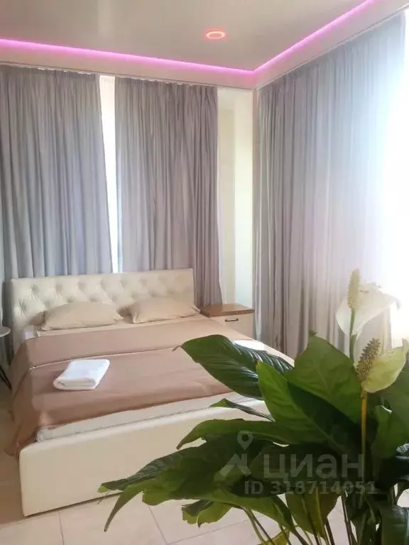 Студия Крым, Ялта ул. Большевистская, 5 (31.0 м) - Фото 1