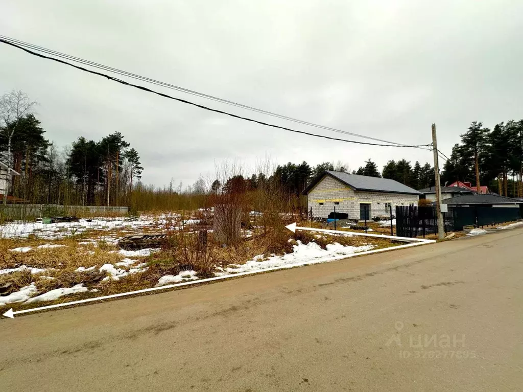 Участок в Ленинградская область, Всеволожский район, Сертоловское ... - Фото 2