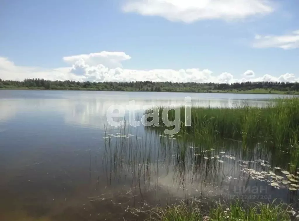 Участок в Вологодская область, Тотемский муниципальный округ, д. ... - Фото 1
