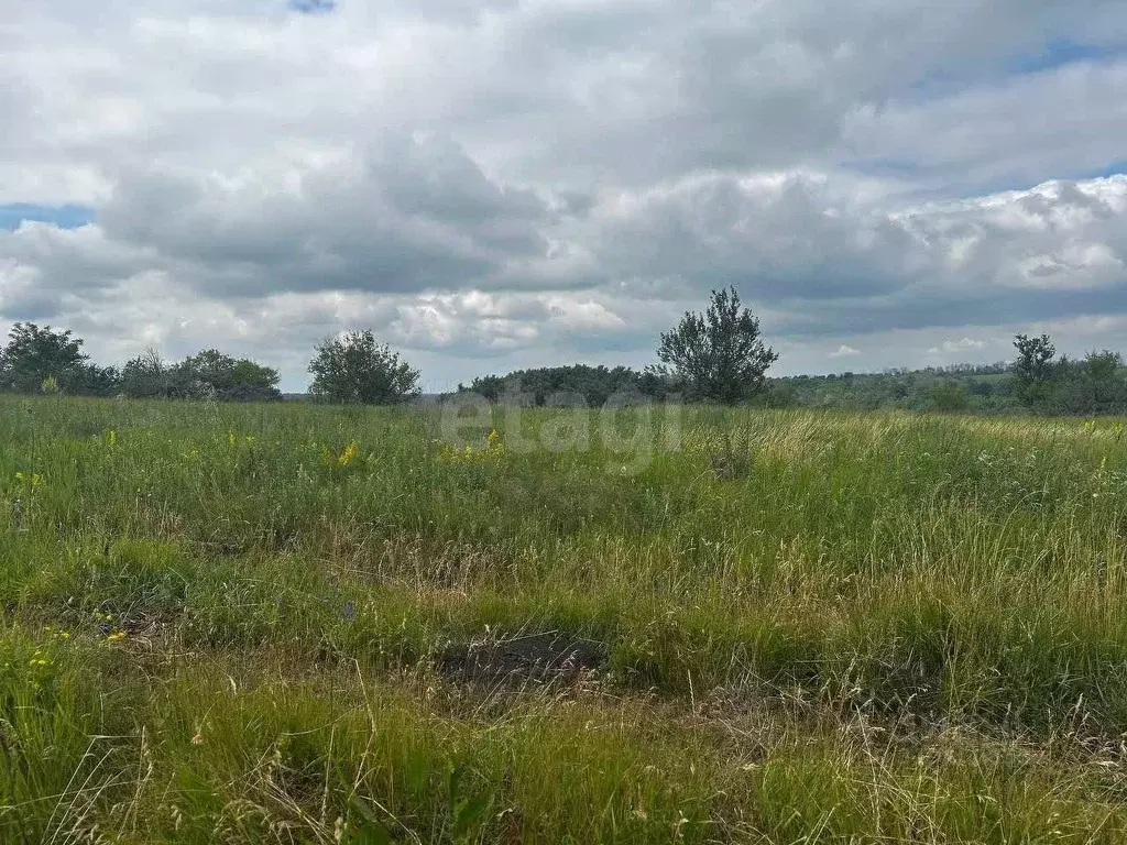 Участок в Белгородская область, Белгородский район, Бессоновское ... - Фото 1
