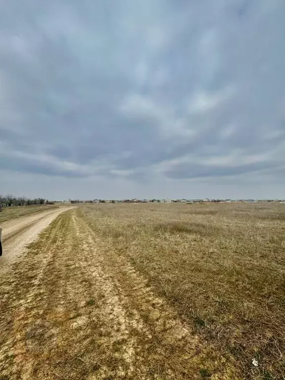 Участок в Крым, Сакский район, с. Уютное ул. Миндальная (8.0 сот.) - Фото 0