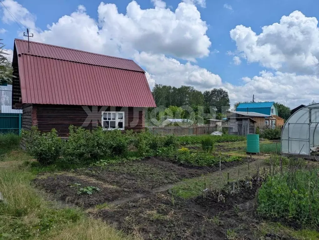 Дом в Новосибирская область, Новосибирский район, Новолуговской ... - Фото 1