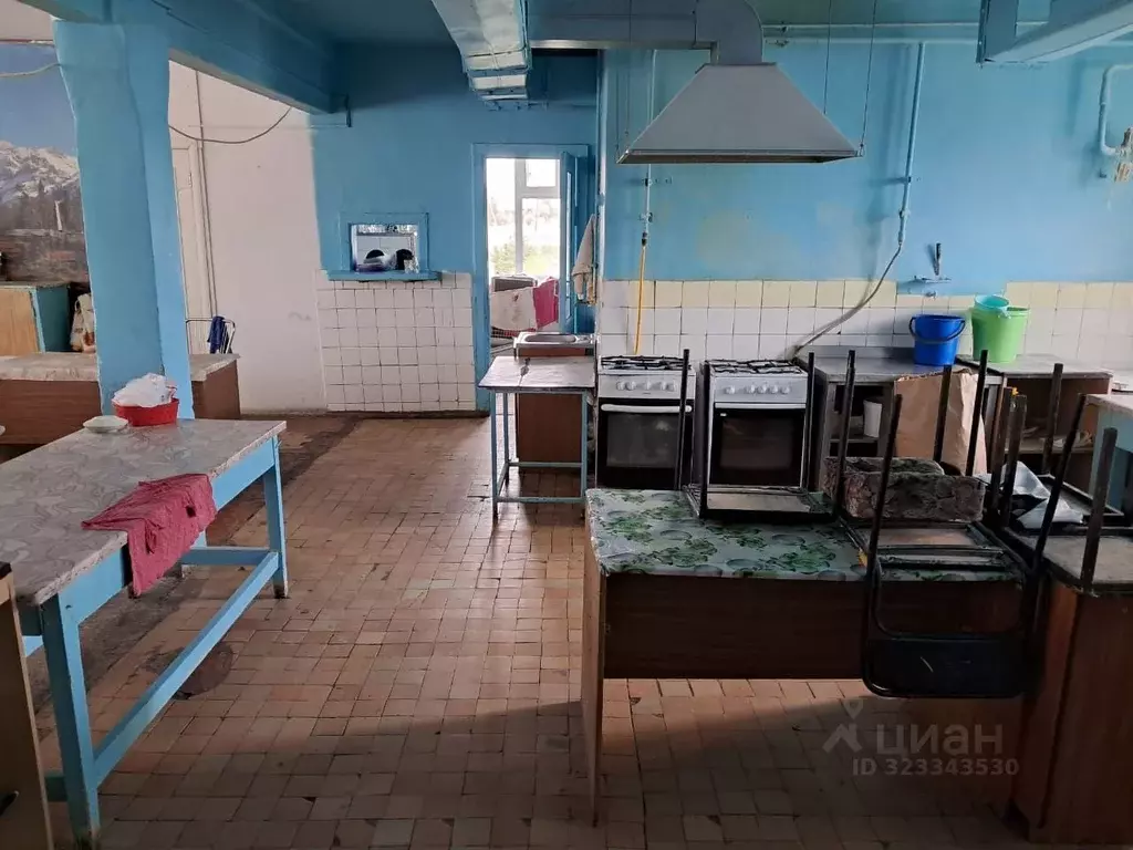 Производственное помещение в Челябинская область, Варненский ... - Фото 1