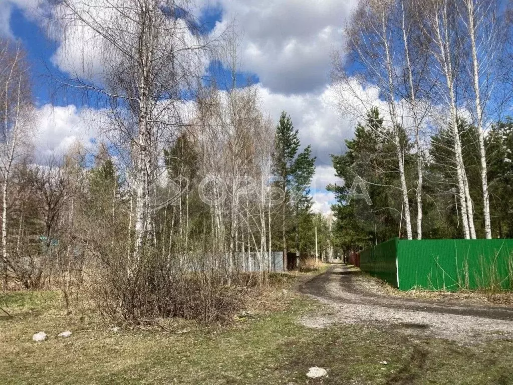 Участок 10 сот. (СНТ, ДНП) - Фото 0