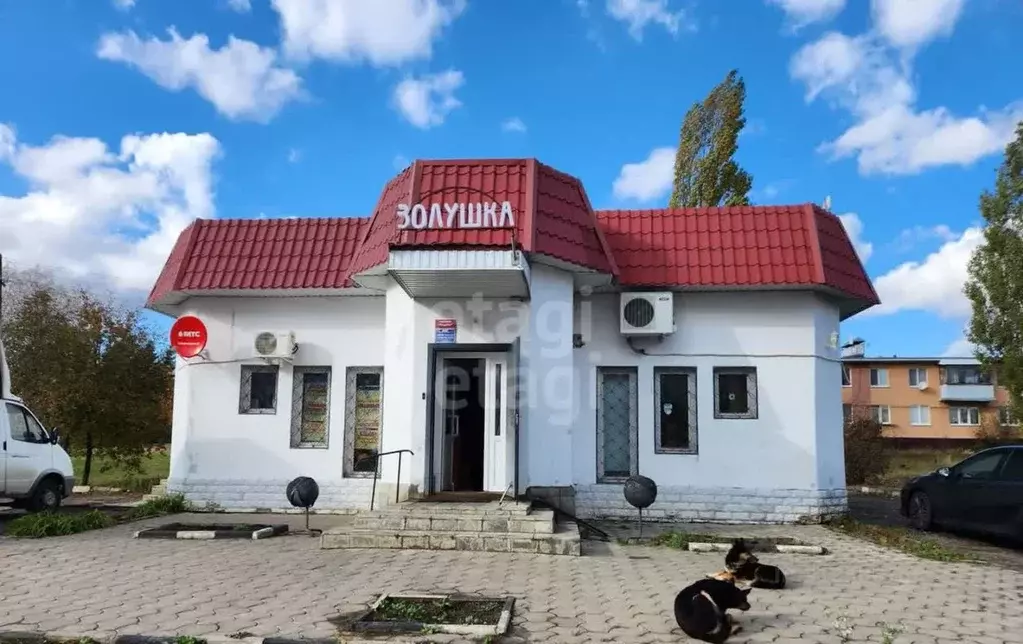 Торговая площадь в Белгородская область, Белгородский район, Беловское ... - Фото 0