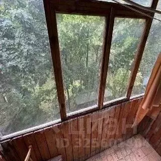 1-к кв. Московская область, Балашиха Купавна мкр, ул. Адмирала ... - Фото 2