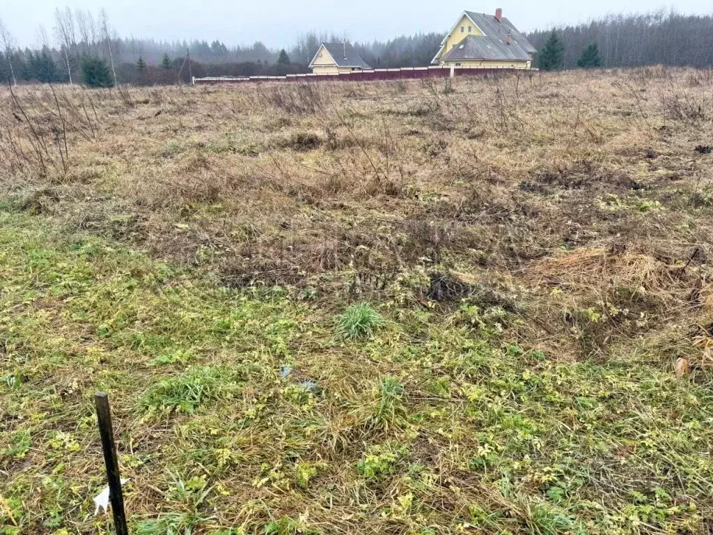 Участок в Ленинградская область, Волосовский район, Рабитицкое с/пос, ... - Фото 1