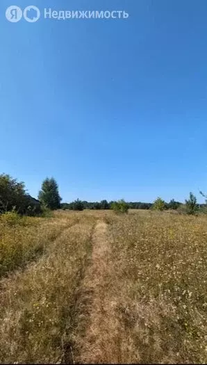 Участок в Калининградская область, Багратионовский муниципальный ... - Фото 1