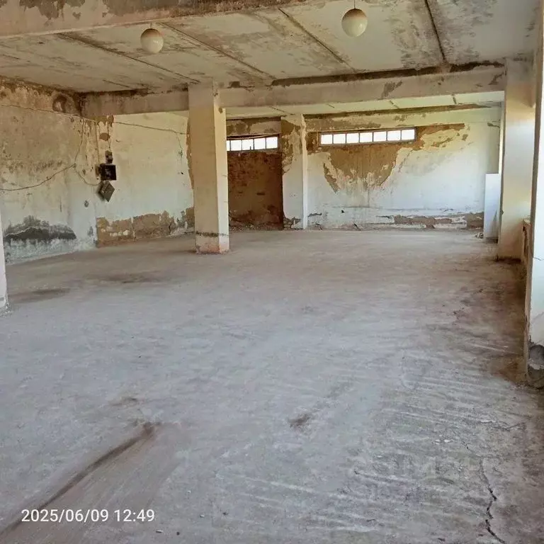 Помещение свободного назначения в Оренбургская область, Оренбургский ... - Фото 2