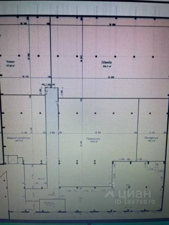 Помещение свободного назначения в Удмуртия, Ижевск ул. Маяковского, 48 ... - Фото 2