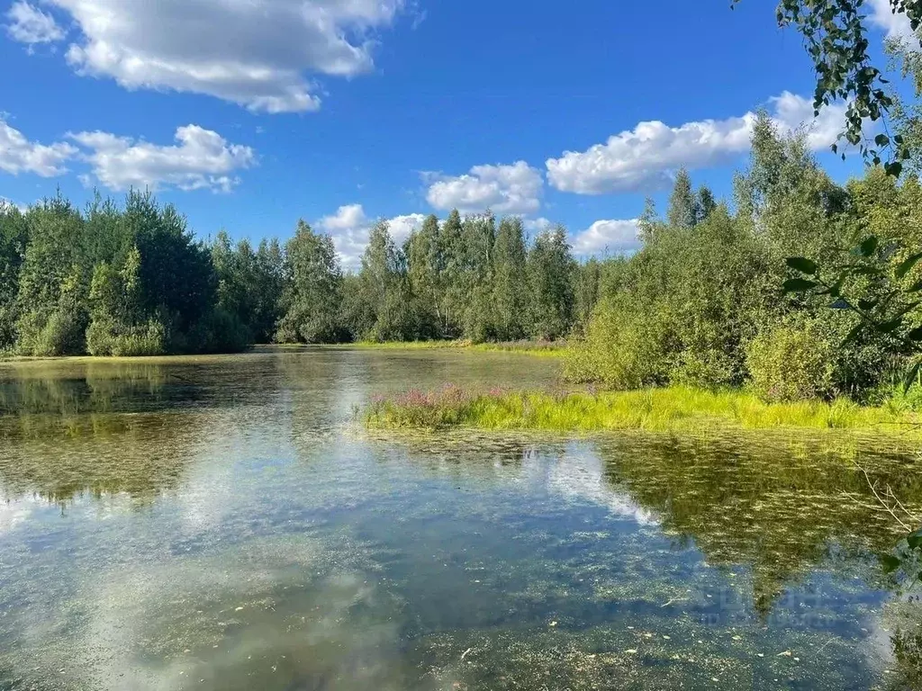 Участок в Московская область, Раменский муниципальный округ, Фенино ... - Фото 2