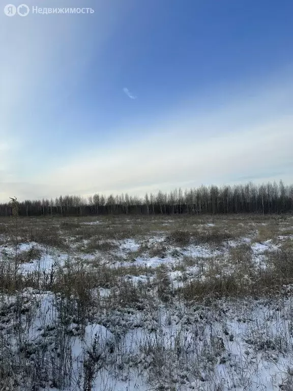 Участок в Курганская область, Кетовский муниципальный округ, деревня ... - Фото 1