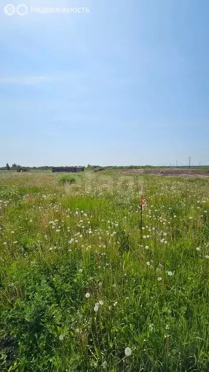 Участок в Тюменский район, село Чикча (8.12 м) - Фото 1