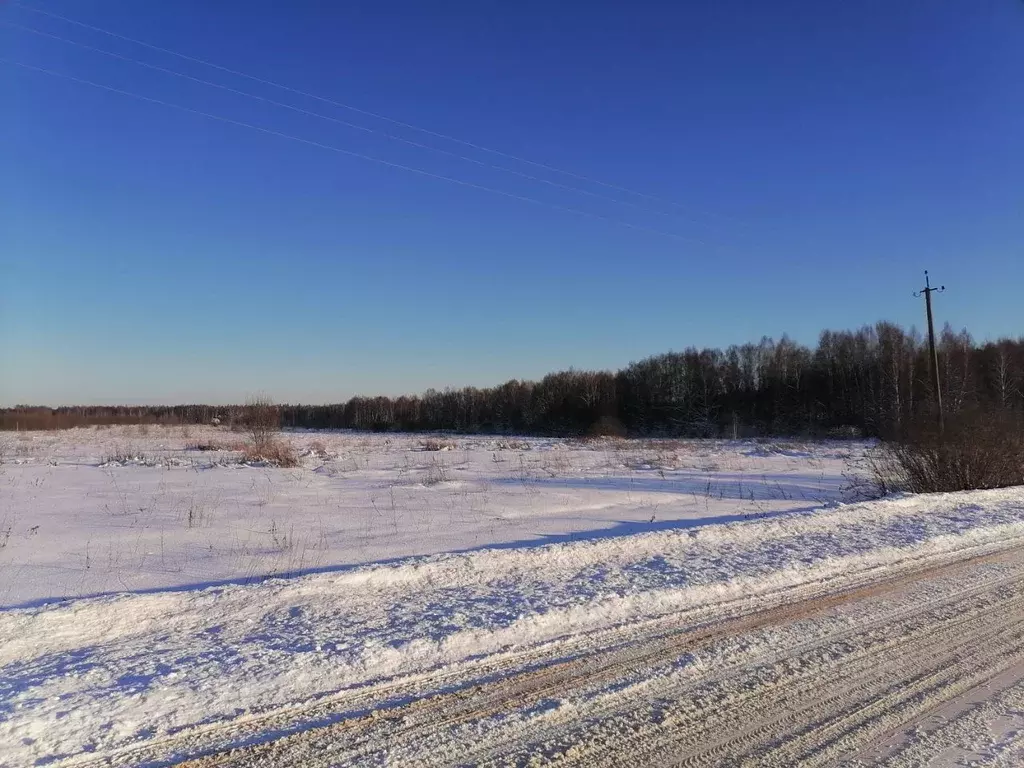 Участок в Владимирская область, Киржачский район, д. Новоселово  ... - Фото 1