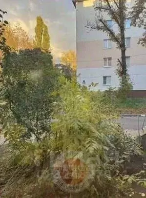 3-к кв. Белгородская область, Белгород ул. Щорса, 3 (61.8 м) - Фото 1